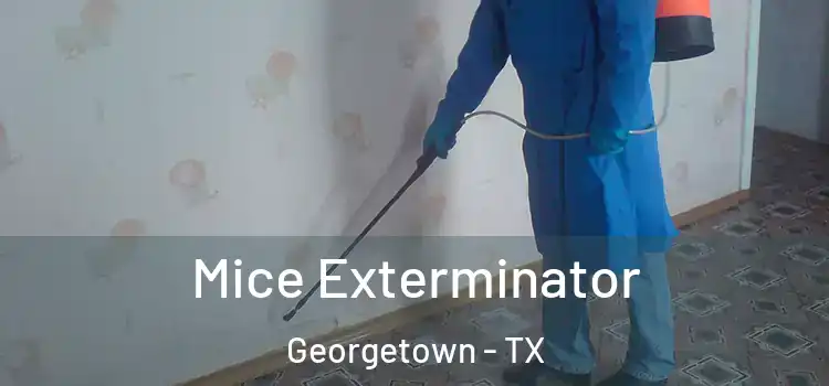 Mice Exterminator Georgetown - TX