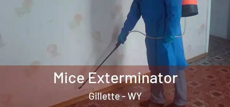  Mice Exterminator Gillette - WY