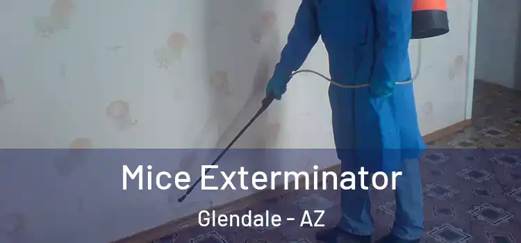  Mice Exterminator Glendale - AZ