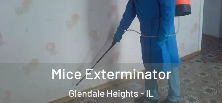 Mice Exterminator Glendale Heights - IL