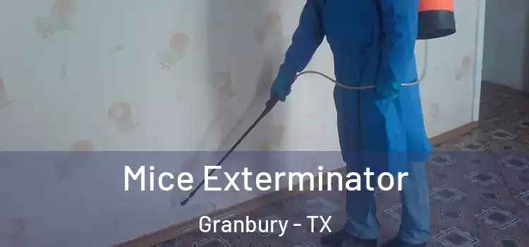  Mice Exterminator Granbury - TX