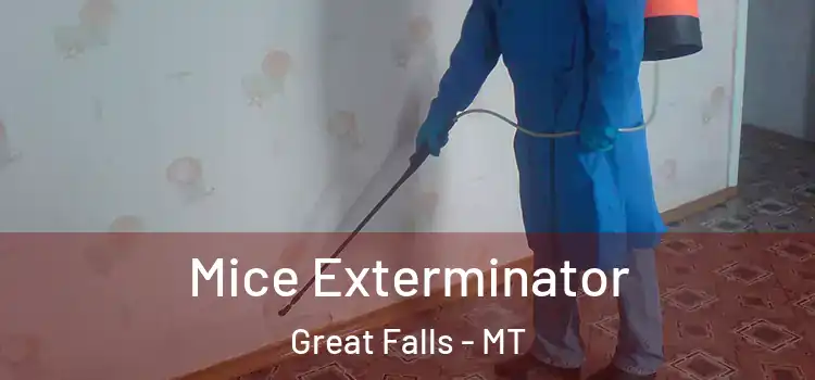  Mice Exterminator Great Falls - MT
