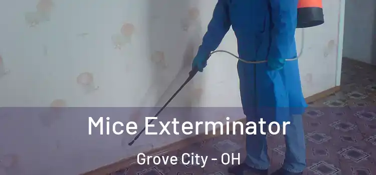  Mice Exterminator Grove City - OH