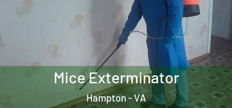  Mice Exterminator Hampton - VA