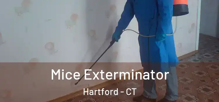 Mice Exterminator Hartford - CT