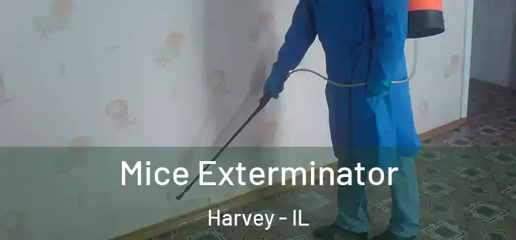 Mice Exterminator Harvey - IL