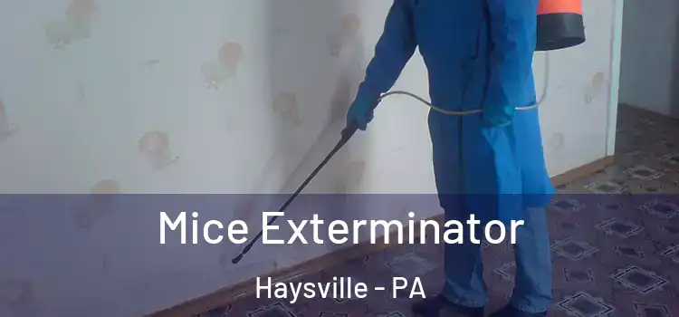  Mice Exterminator Haysville - PA