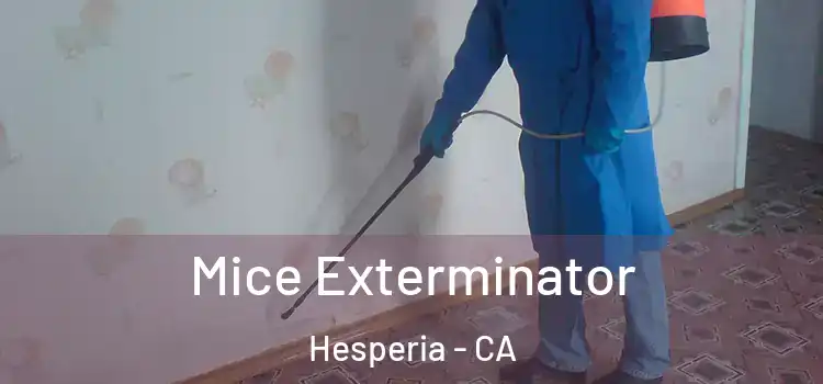 Mice Exterminator Hesperia - CA