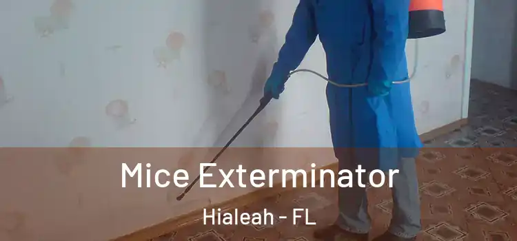 Mice Exterminator Hialeah - FL