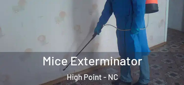 Mice Exterminator High Point - NC