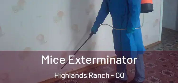 Mice Exterminator Highlands Ranch - CO