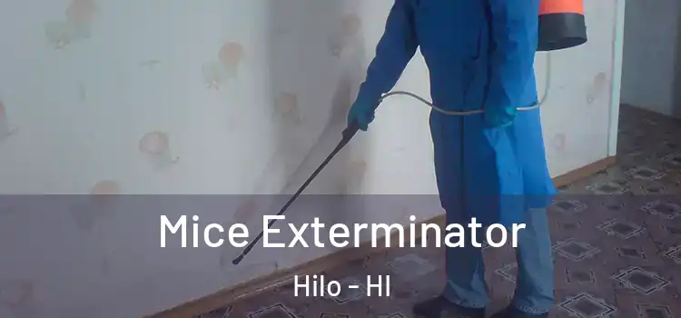 Mice Exterminator Hilo - HI