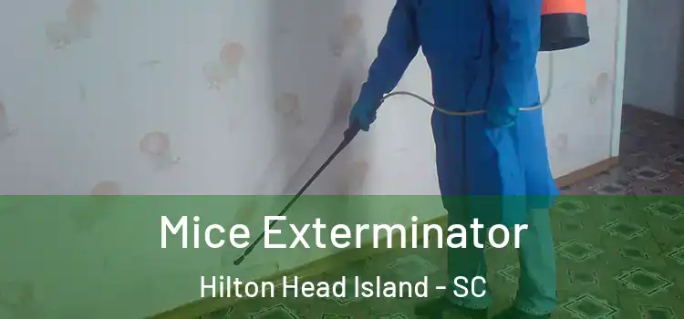  Mice Exterminator Hilton Head Island - SC