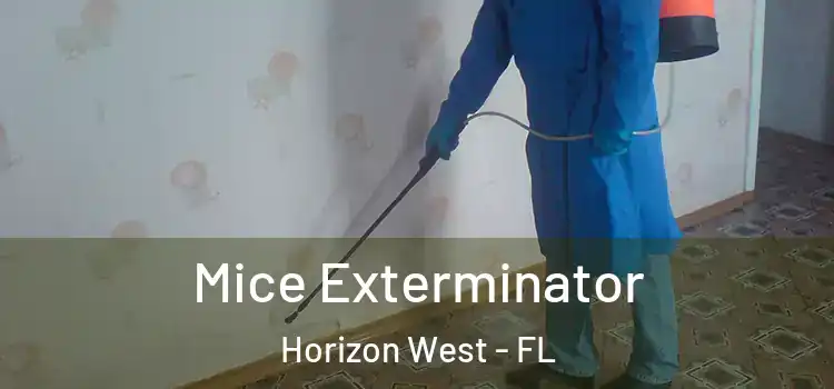  Mice Exterminator Horizon West - FL