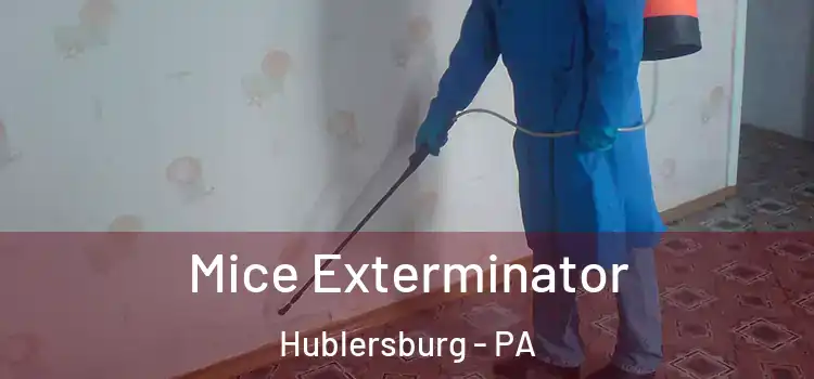  Mice Exterminator Hublersburg - PA