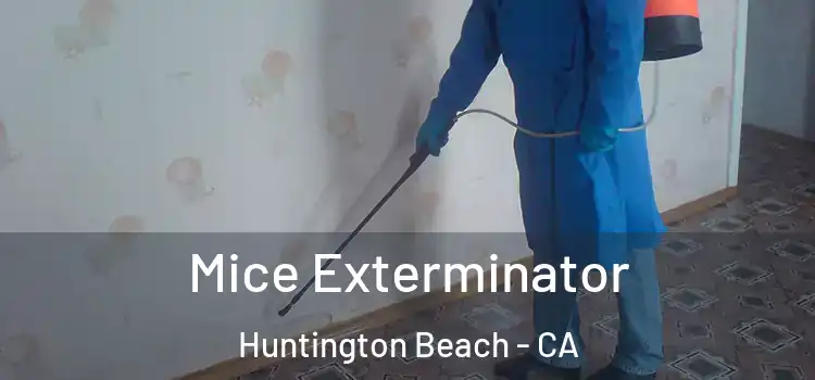  Mice Exterminator Huntington Beach - CA