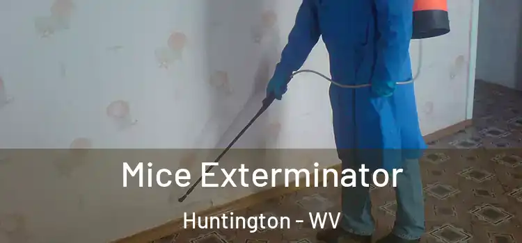 Mice Exterminator Huntington - WV