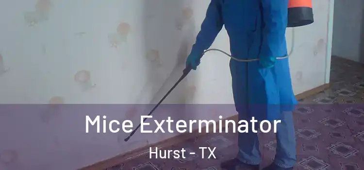 Mice Exterminator Hurst - TX