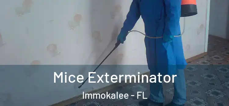 Mice Exterminator Immokalee - FL