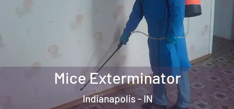 Mice Exterminator Indianapolis - IN