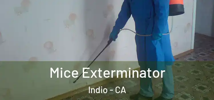 Mice Exterminator Indio - CA