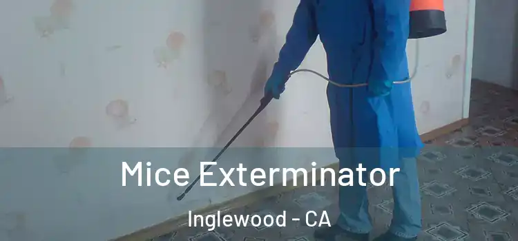  Mice Exterminator Inglewood - CA