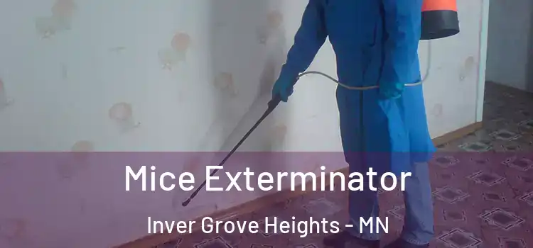  Mice Exterminator Inver Grove Heights - MN