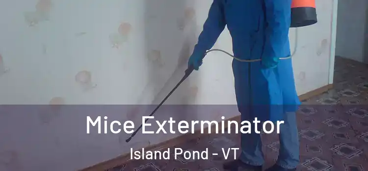 Mice Exterminator Island Pond - VT