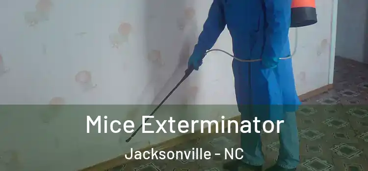  Mice Exterminator Jacksonville - NC