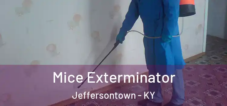  Mice Exterminator Jeffersontown - KY