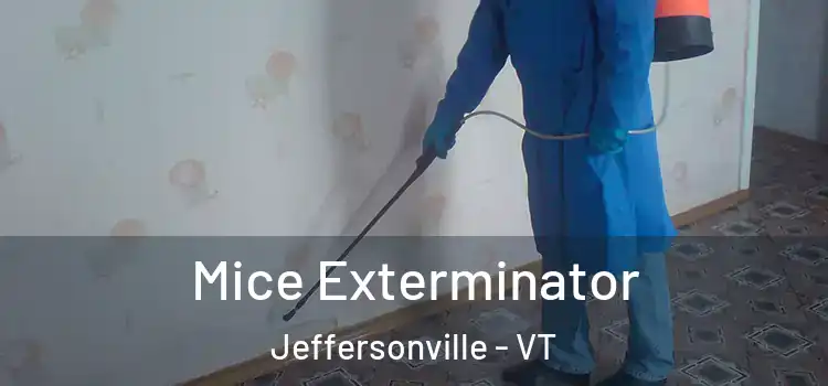  Mice Exterminator Jeffersonville - VT