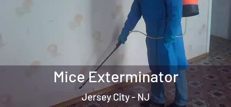  Mice Exterminator Jersey City - NJ