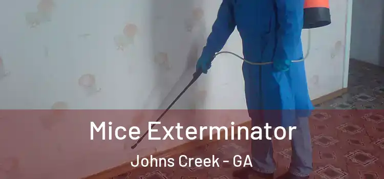  Mice Exterminator Johns Creek - GA