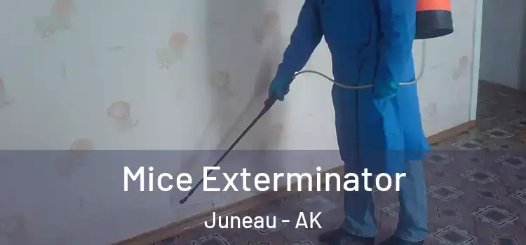 Mice Exterminator Juneau - AK
