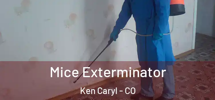 Mice Exterminator Ken Caryl - CO