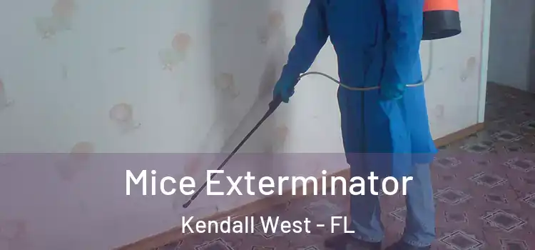  Mice Exterminator Kendall West - FL