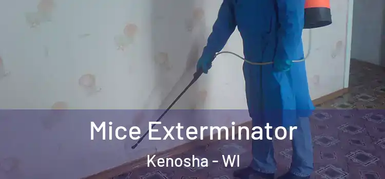 Mice Exterminator Kenosha - WI