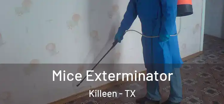  Mice Exterminator Killeen - TX
