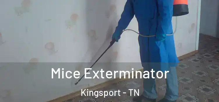 Mice Exterminator Kingsport - TN