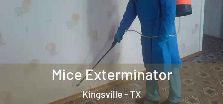 Mice Exterminator Kingsville - TX