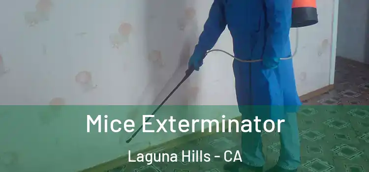  Mice Exterminator Laguna Hills - CA