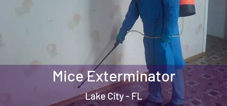 Mice Exterminator Lake City - FL
