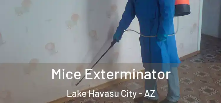  Mice Exterminator Lake Havasu City - AZ