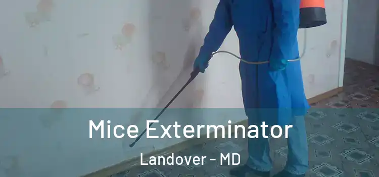  Mice Exterminator Landover - MD