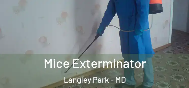  Mice Exterminator Langley Park - MD