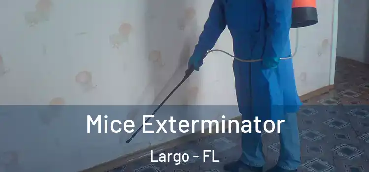  Mice Exterminator Largo - FL