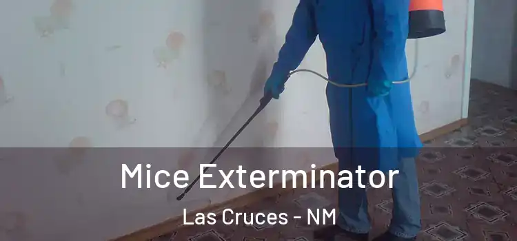 Mice Exterminator Las Cruces - NM