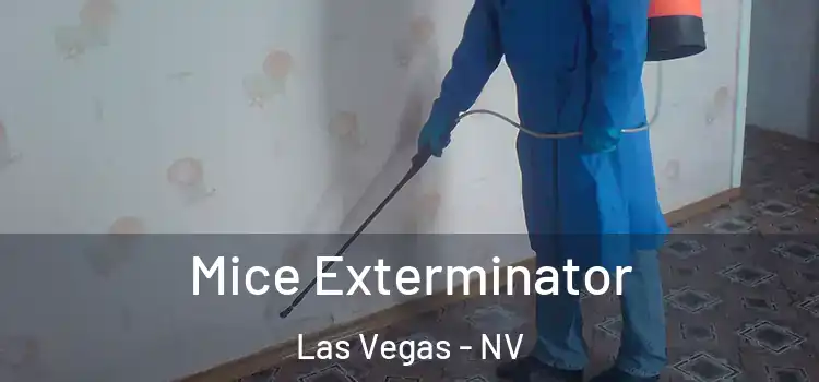  Mice Exterminator Las Vegas - NV