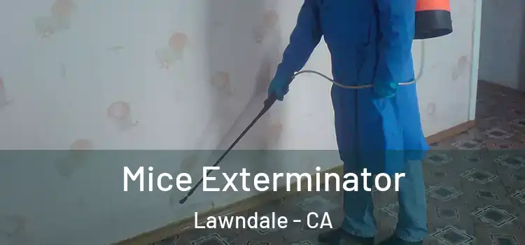  Mice Exterminator Lawndale - CA