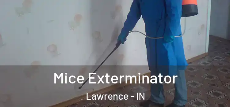  Mice Exterminator Lawrence - IN